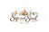 Sip &amp; Soul – Home